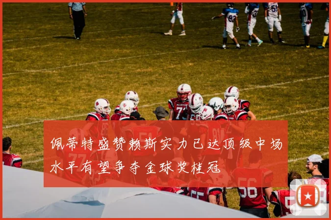 佩蒂特盛赞赖斯实力已达顶级中场水平有望争夺金球奖桂冠