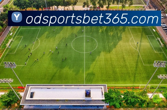 od体育品牌故事