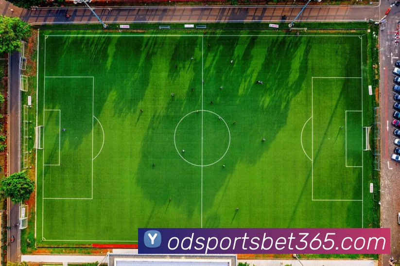 od体育服务体系